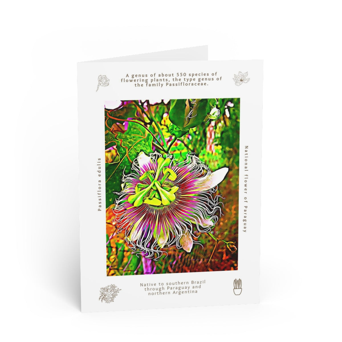 Passiflora Blank Cards image 1