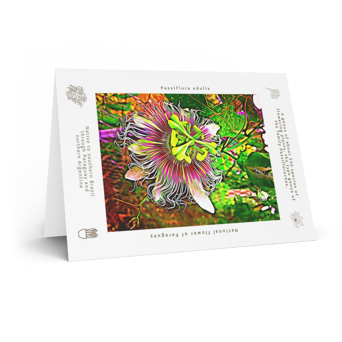 Passiflora Blank Cards image 7